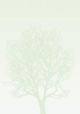 Design A4 Paper Tree