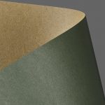 Decorative Kraft Card Paper green