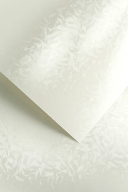 Karton Olympia perłowa biel