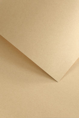 Дизайнерская бумага Натура темно-бежевая