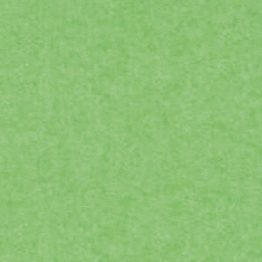Бристольский картон светло-зеленый