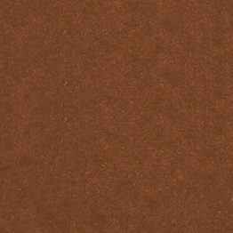 Бристольский картон коричневый