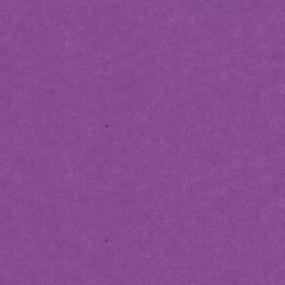 Bristol light violet