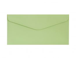 Decorative Envelope Smooth Light Green DL