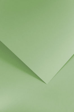 Дизайнерский картон Гладкий светло-зеленый