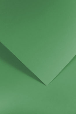 Smooth Decorative Card Paper Green