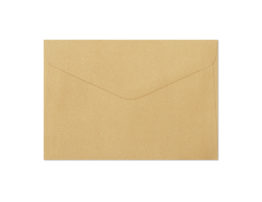 Decorative Envelope Pearl gold B6