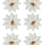 Paper flowers Poinsettia white