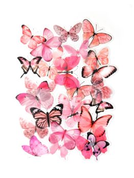 Набор наклеек прозрачных Розовые Бабочки