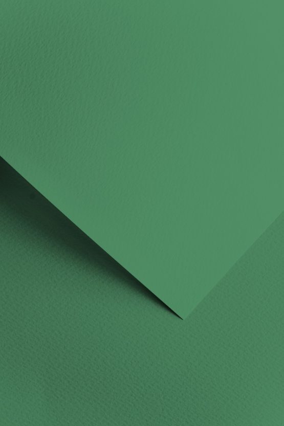 Decorative Card Paper Savannah green