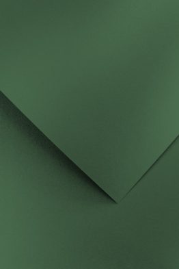 Karton Pearl zielony
