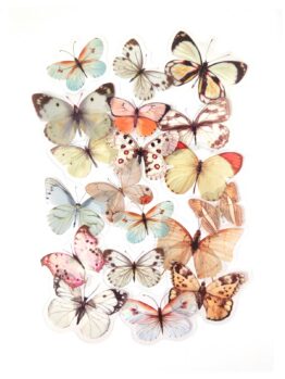 Набор наклеек прозрачных Бежевые Бабочки