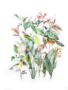 Naklejki transparentne Egzotyczny Ogród