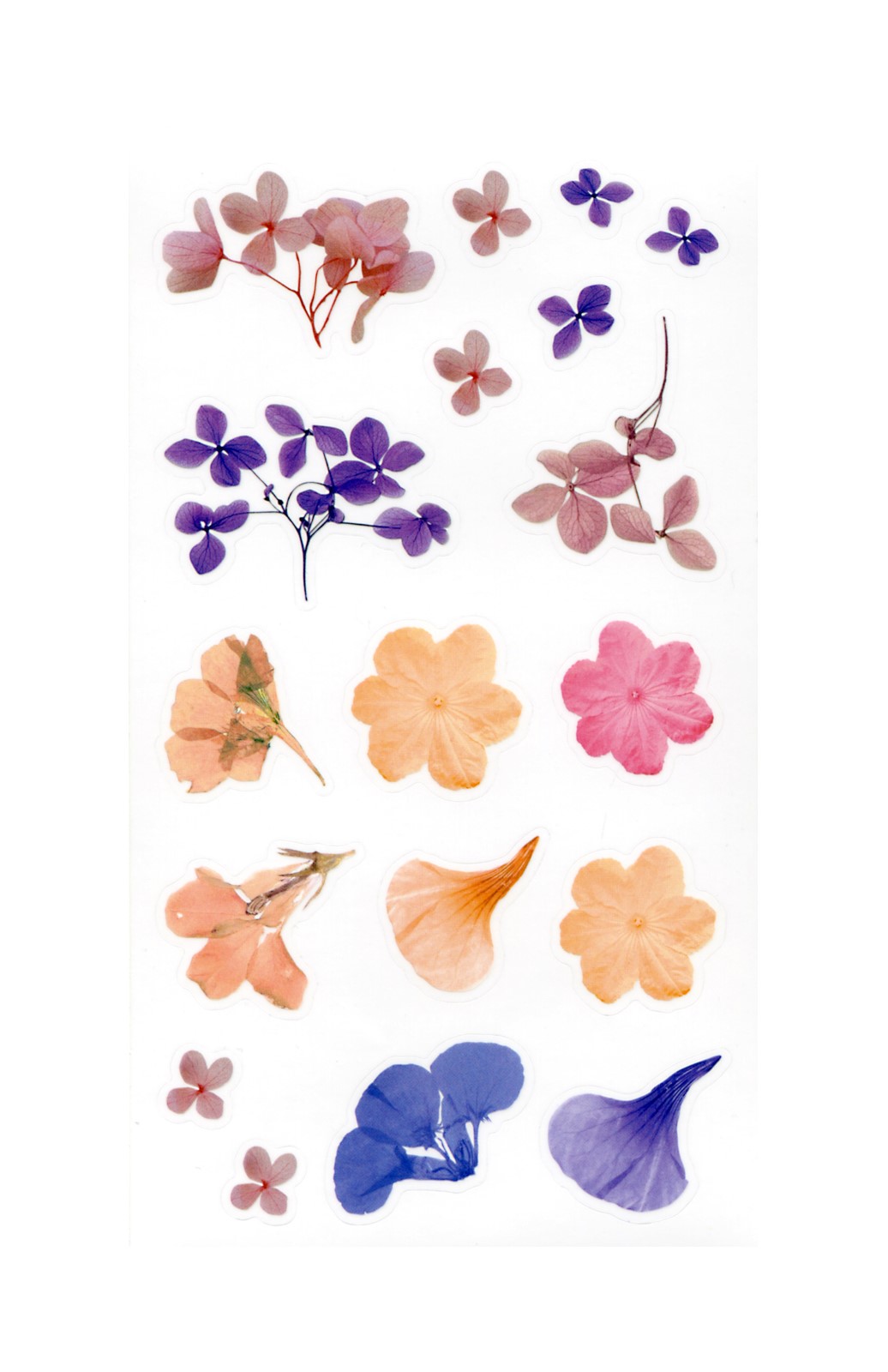 Naklejki transparentne Pastelowe kwaity - obrazek 2