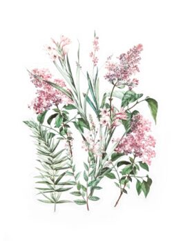 Naklejki transparentne Różowy Zakątek